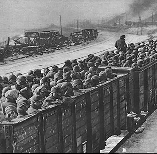 Прибытие пленных из Вяземского котла в лагерь № 126.